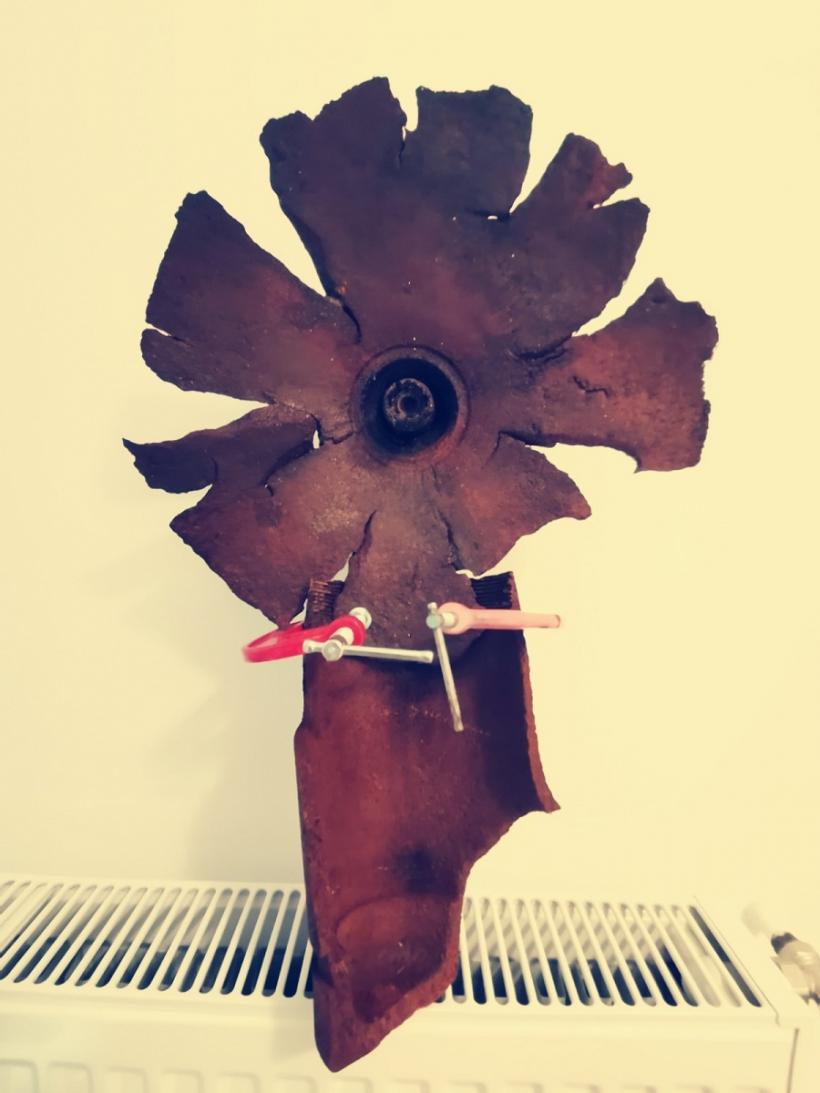 Lucrări ale artiștilor Celulei de Artă la Environment days – connecting realities , între 3 și 5 iunie, la Chișinău  Expoziții simultane în 5 orașe, portaluri live și instalații din materiale reciclate, de Ziua Mediului 18789183