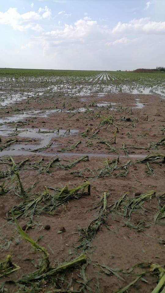 Ploi artificiale în România: o realitate, nu teoria conspirației 18789335