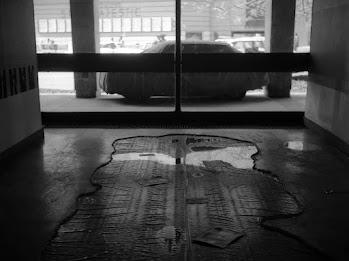 Dan Mihălțianu - In the Skin of an Artist 18789858