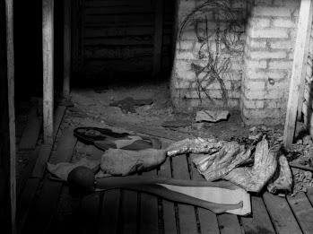 Dan Mihălțianu - In the Skin of an Artist 18789860