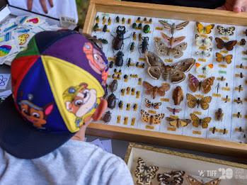 De 3 ori mai multă distracție la TIFF în familie: jocuri și ateliere tematice pentru copii și părinți și spectacole în aer liber, în Parcul Poligon din Florești 18789866