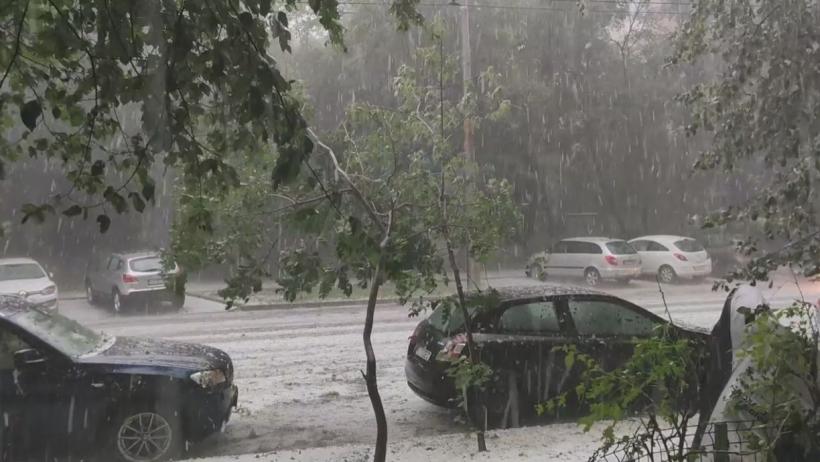 Furtuna a doborât în București 44 de copaci și a avariat 26 de mașini