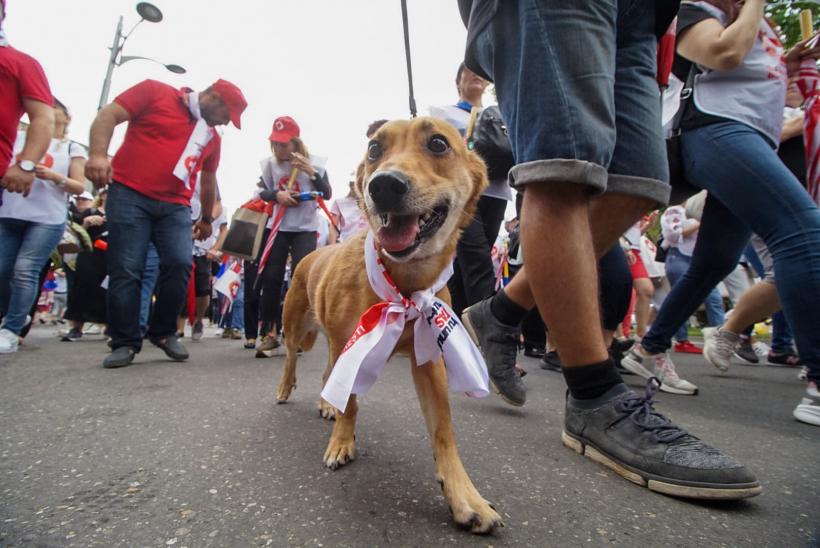 UPDATE Protest de amploare al angajaților din sănătate. Peste 10.000 de participanți 18790284