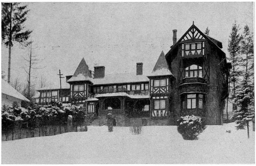 „Tăchiță Gură de aur”, pe aripile iubirii 18790675