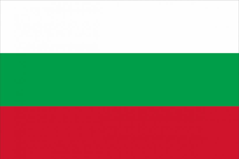 Guvernul bulgar, demis prin moțiune de cenzură 