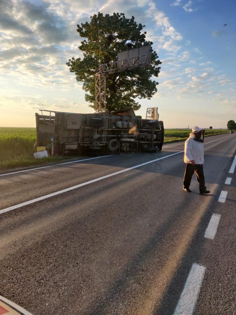 Un camion care transporta albine s-a răsturnat pe DN 2, în Neamț