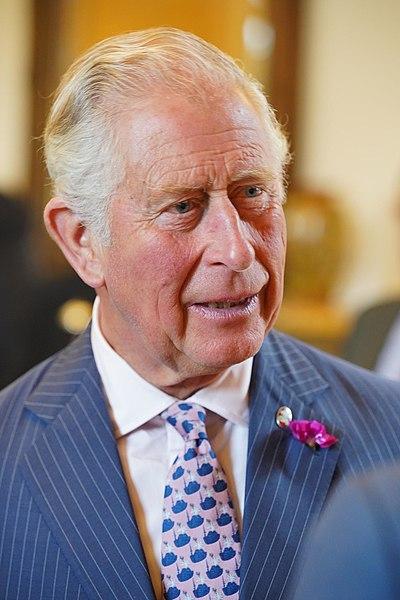 Prinţul Charles ar fi primit pungi care conţineau milioane de euro în timpul unor întâlniri