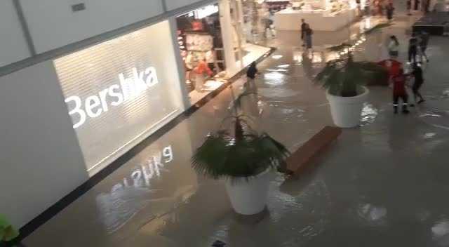 O furtuna de câteva minute a făcut prăpăd in Craiova. Apă de aproape un metru pe străzi, copaci doborâți de vânt, Mall inundat 