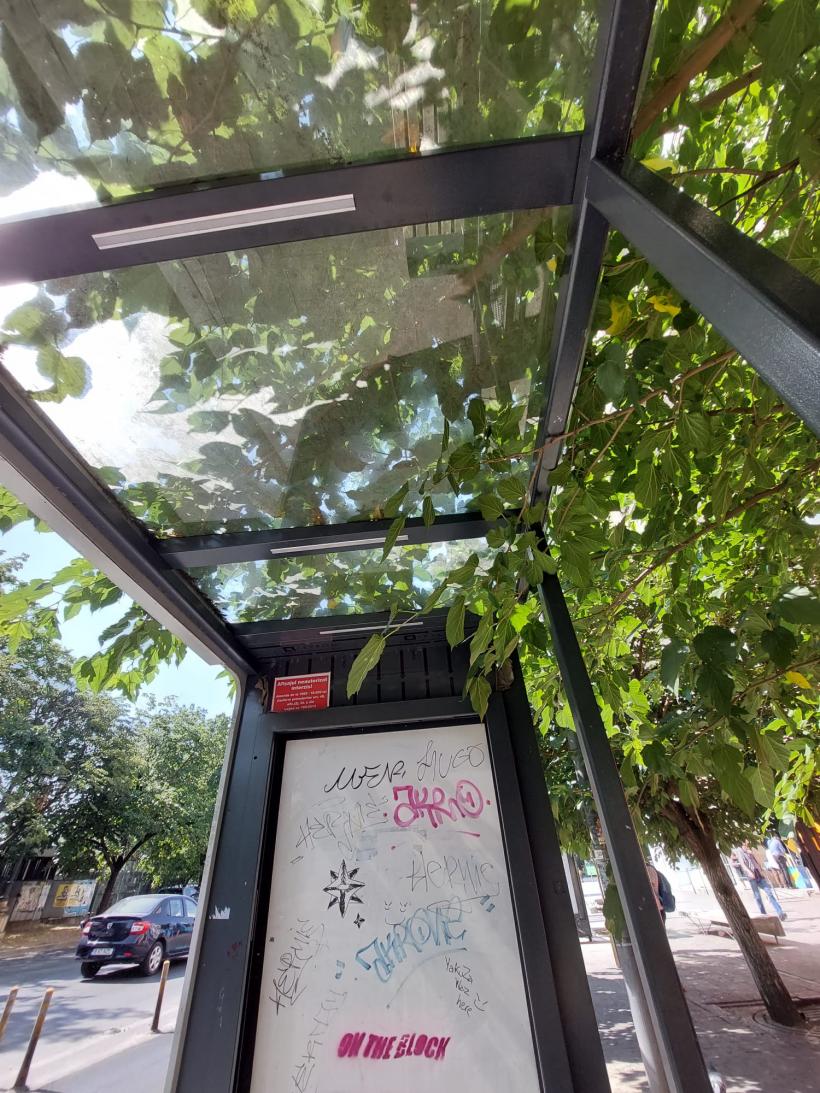 Radiografia unui oraș muribund 18792531