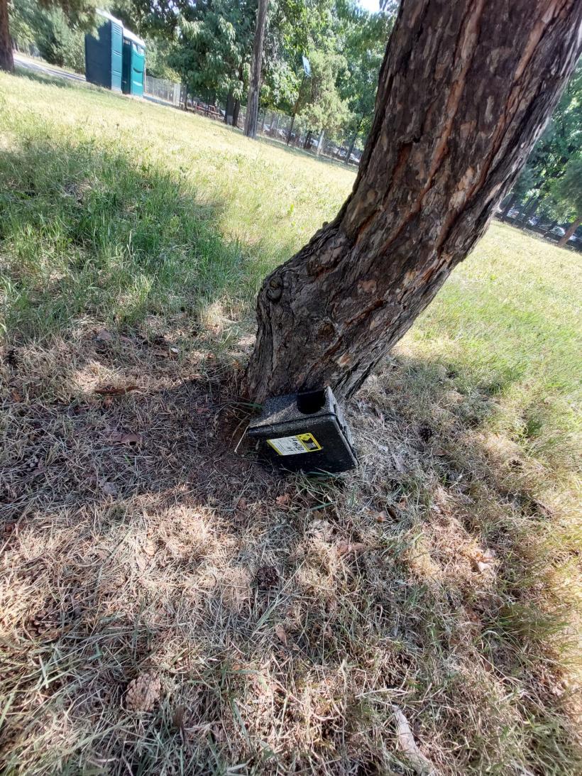 Radiografia unui oraș muribund 18792535