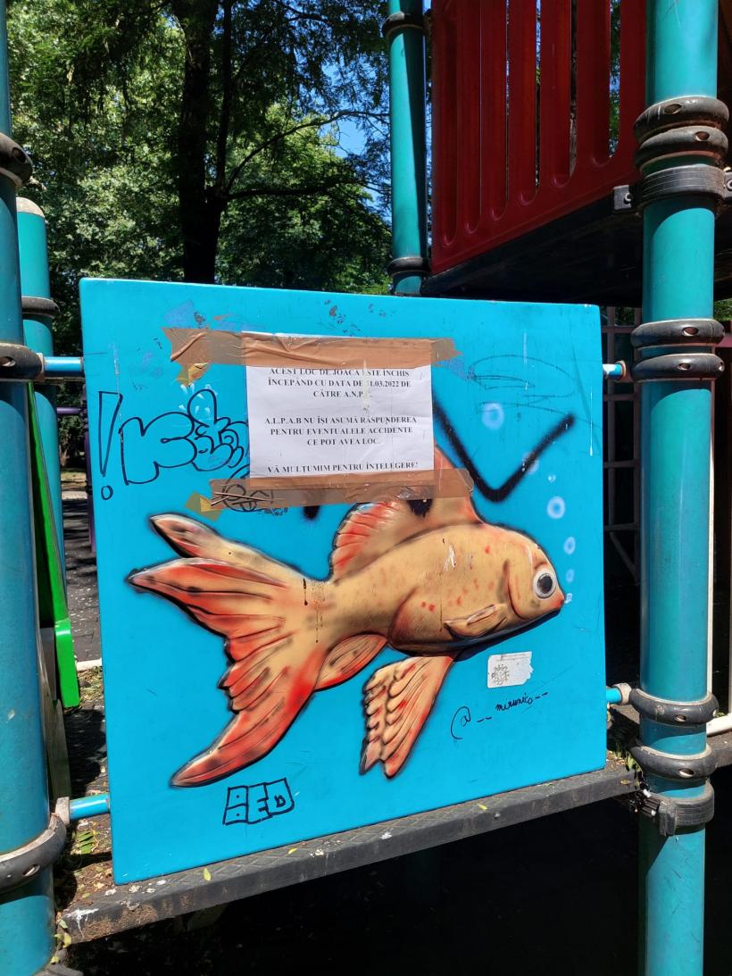 Radiografia unui oraș muribund 18792536