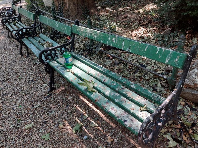 Radiografia unui oraș muribund 18792537