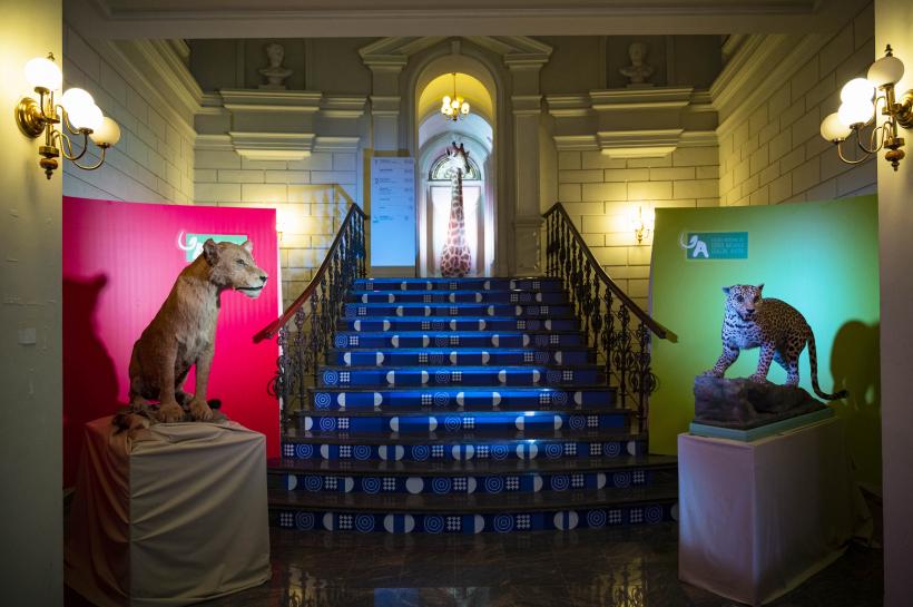 Theodor Aman, Picasso și Dali, printre dinozaurii de la „Antipa” 18792897