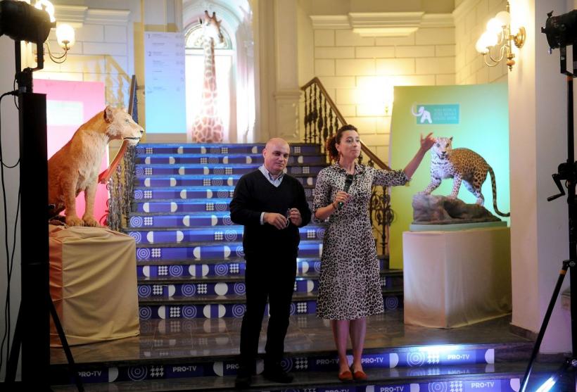 Theodor Aman, Picasso și Dali, printre dinozaurii de la „Antipa” 18792905