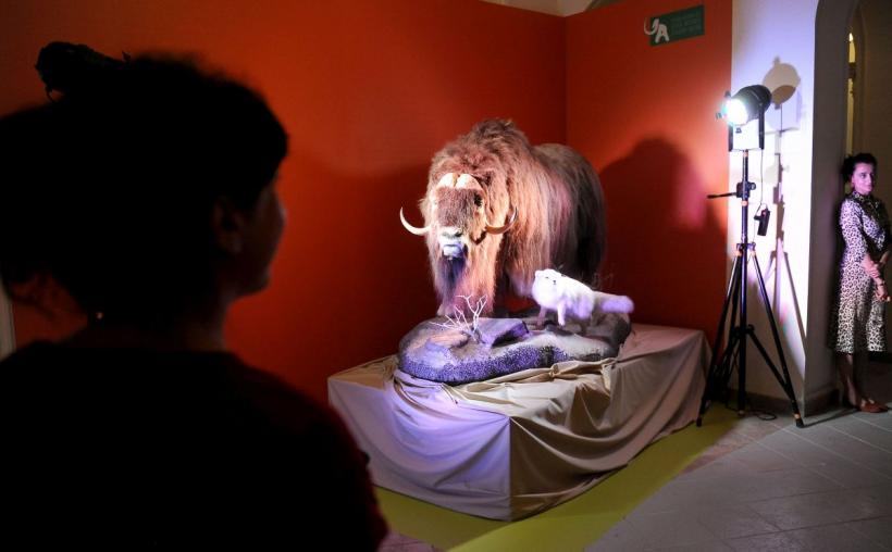 Theodor Aman, Picasso și Dali, printre dinozaurii de la „Antipa” 18792908