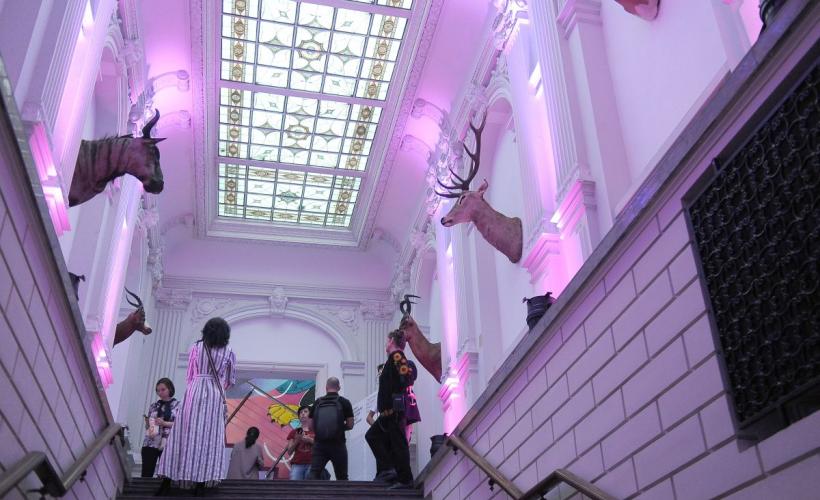 Theodor Aman, Picasso și Dali, printre dinozaurii de la „Antipa” 18792911