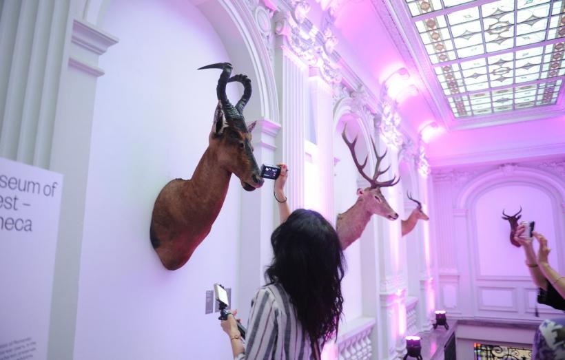 Theodor Aman, Picasso și Dali, printre dinozaurii de la „Antipa” 18792912