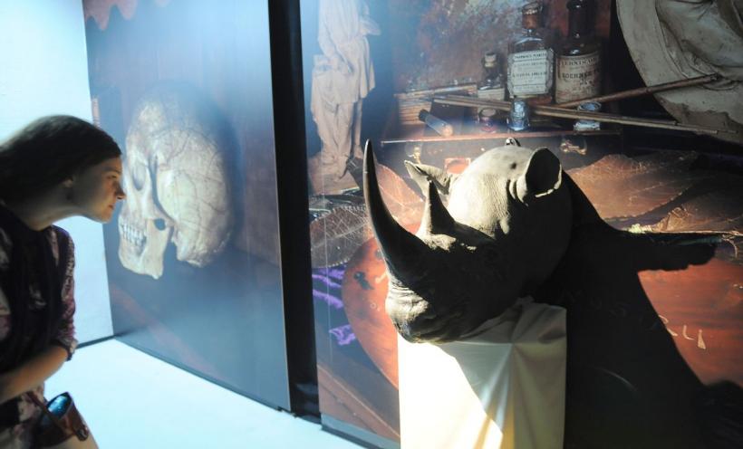 Theodor Aman, Picasso și Dali, printre dinozaurii de la „Antipa” 18792913