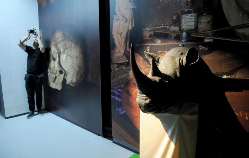 Theodor Aman, Picasso și Dali, printre dinozaurii de la „Antipa” 18792914