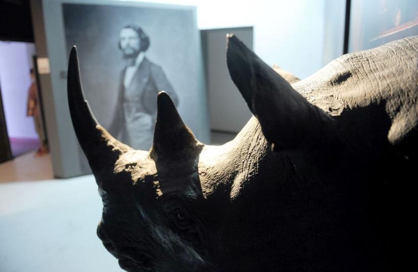 Theodor Aman, Picasso și Dali, printre dinozaurii de la „Antipa” 18792915