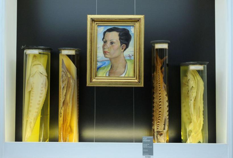 Theodor Aman, Picasso și Dali, printre dinozaurii de la „Antipa” 18792921