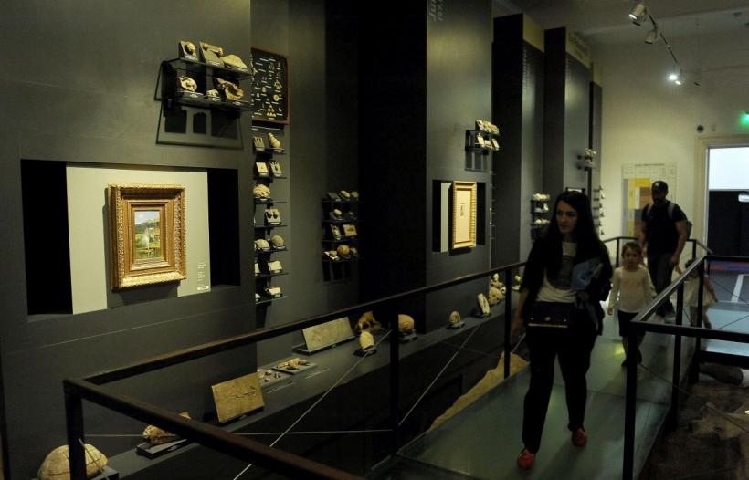 Theodor Aman, Picasso și Dali, printre dinozaurii de la „Antipa” 18792924