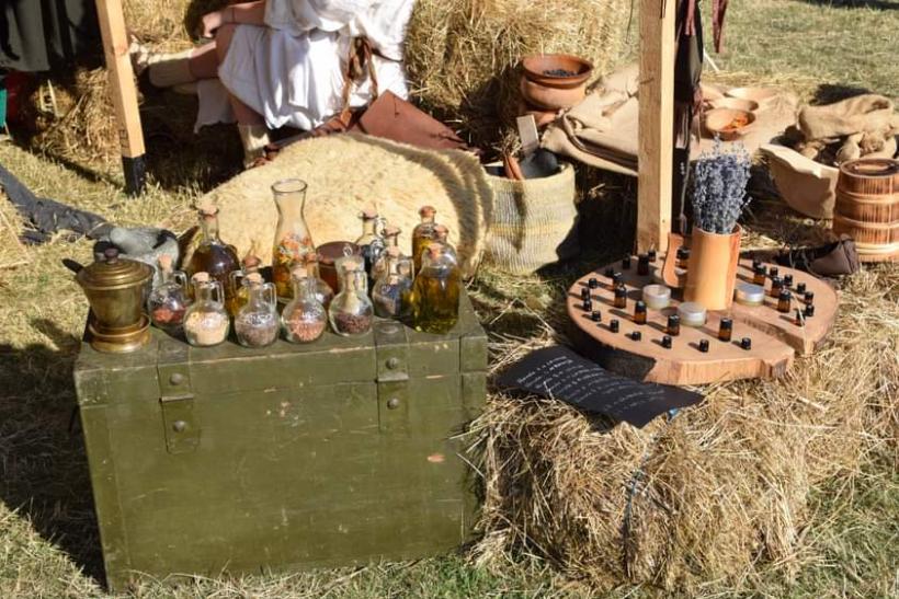 Excursie la daci și romani, pe Măgura Uroiului, înapoi cu două milenii 18793421