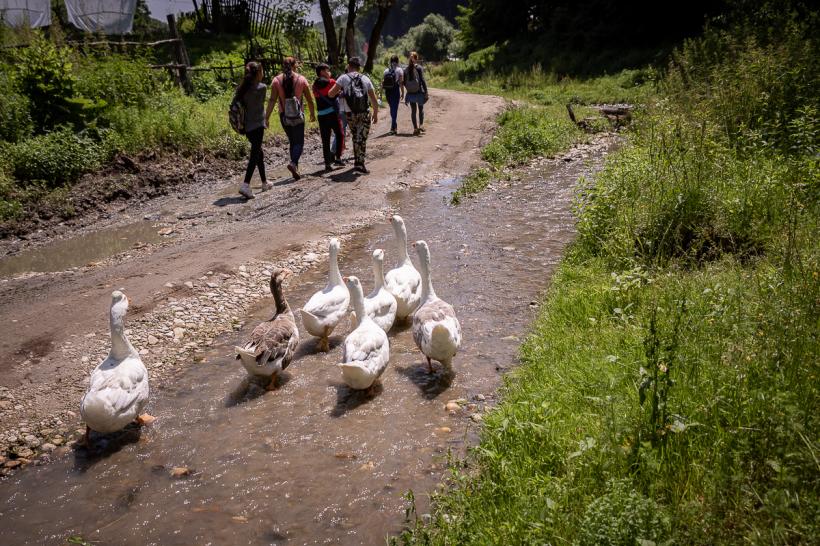 România cu două fețe: una - burgheză și nepăsătoare, cealaltă - săracă și disperată 18794087