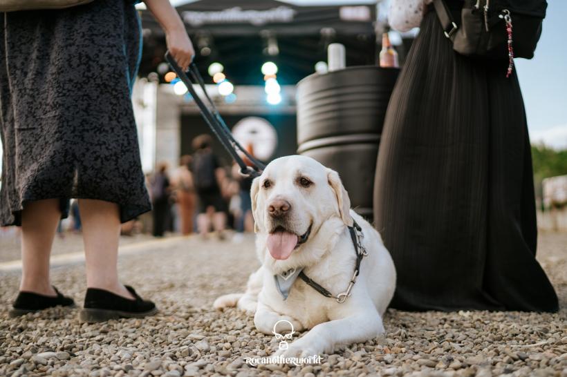 La Rocanotherworld faptele bune se adună împreună    18794315