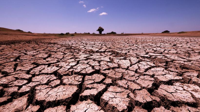 Dezastru în agricultură. Suprafaţa afectată de secetă a ajuns la peste 190.000 de hectare 