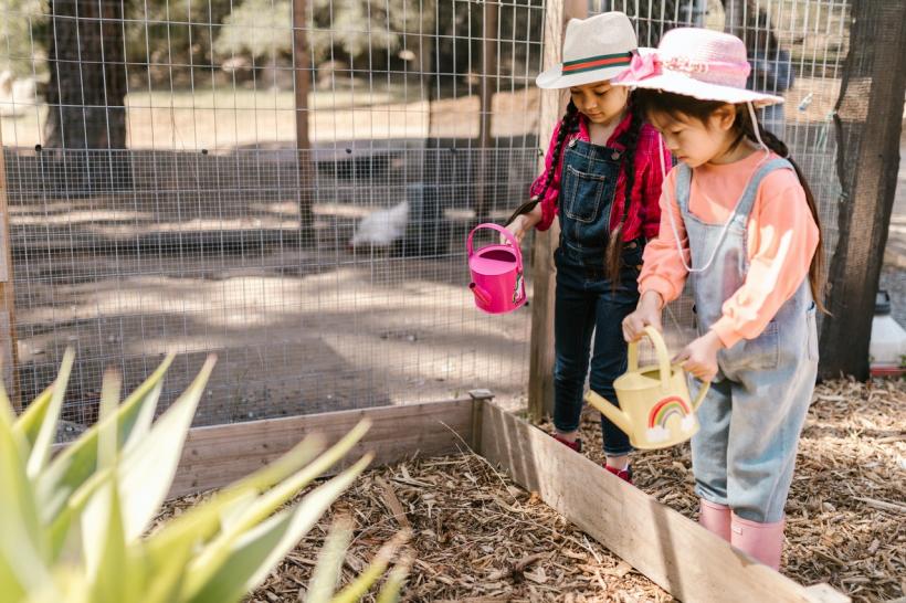5 idei de activități școlare pentru promovarea respectului față de natură