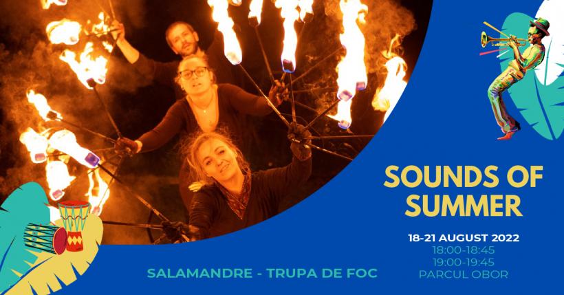 Concerte, jam sessions si ateliere la Sounds of Summer – Jam in the Park, intre 18 – 21 august, in Parcul Obor 18796221