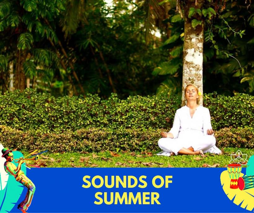 Concerte, jam sessions si ateliere la Sounds of Summer – Jam in the Park, intre 18 – 21 august, in Parcul Obor 18796227