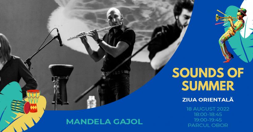 Concerte, jam sessions si ateliere la Sounds of Summer – Jam in the Park, intre 18 – 21 august, in Parcul Obor 18796230