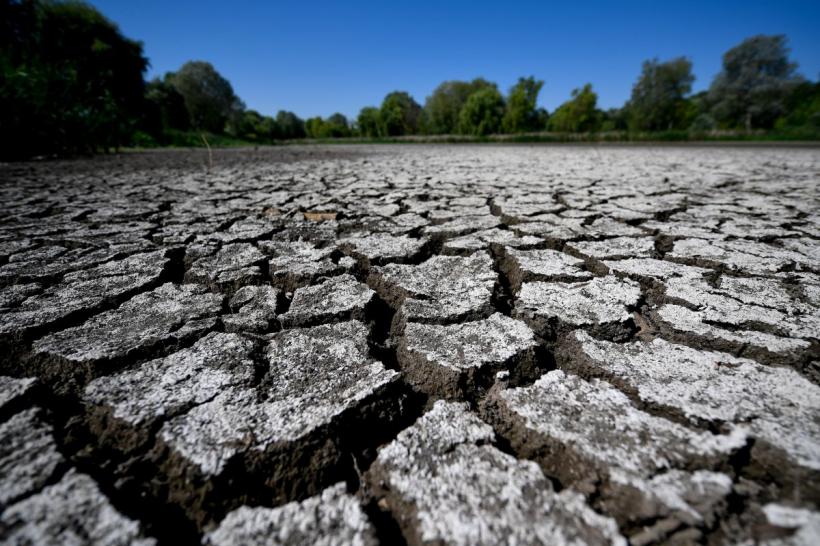 Suprafaţa afectată de secetă a depășit 351.000 de hectare în 33 de judeţe