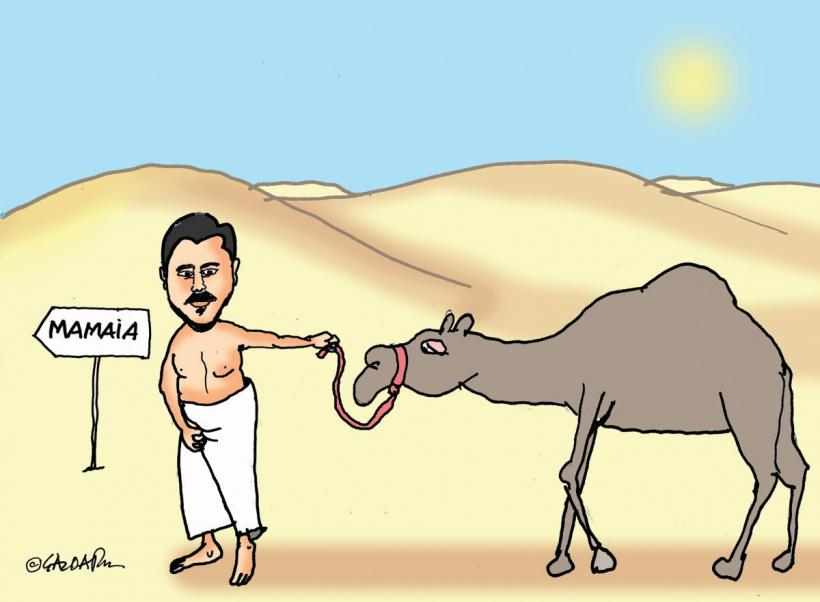 Cine i-ar fi putut salva lui Marica jumătatea de milion de euro pierdută 18796250