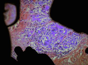 Festivalul Internațional de Film Experimental București: Handle with care 18797821