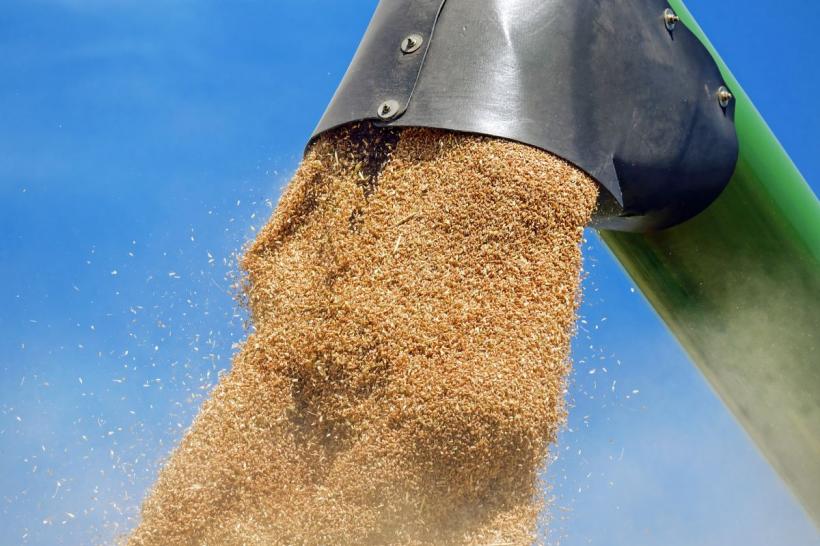 Ucrainenii susțin că rușii au distrus mii de tone de cereale