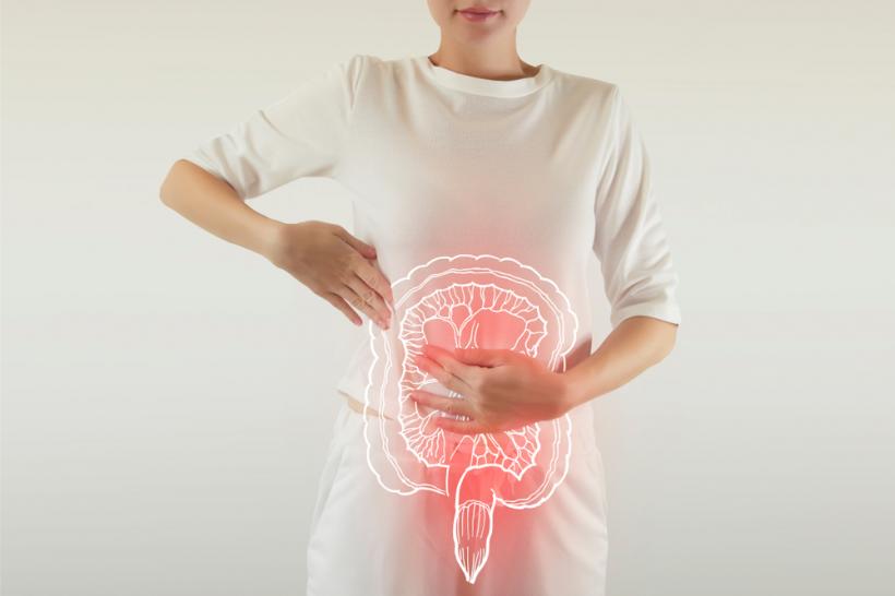 Sistemul digestiv: cum funcționează și ce rol are în organismul uman