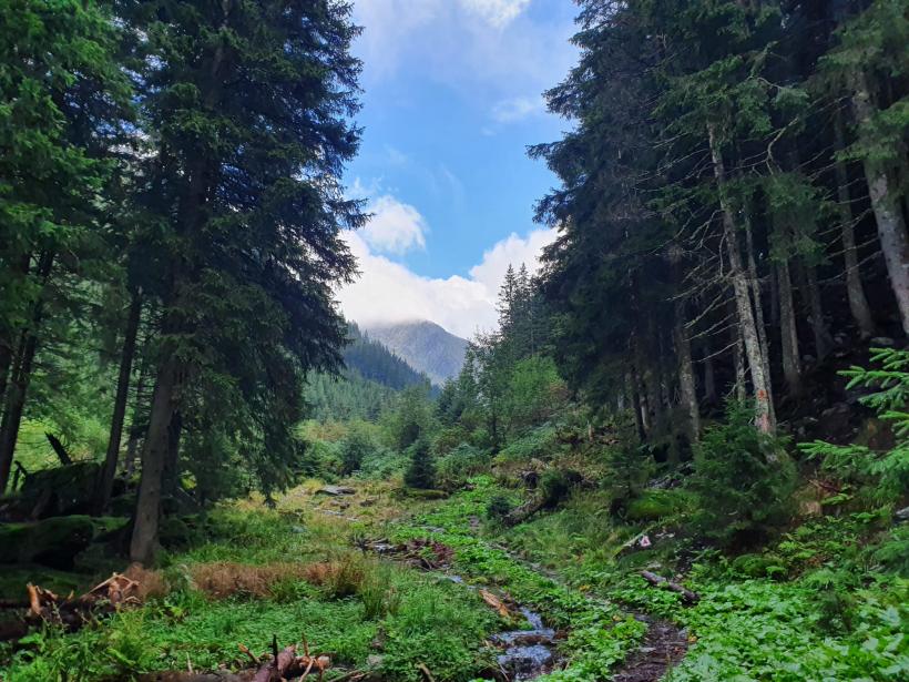 Făgăraș, muntele de fum, muntele de rouă 18798829