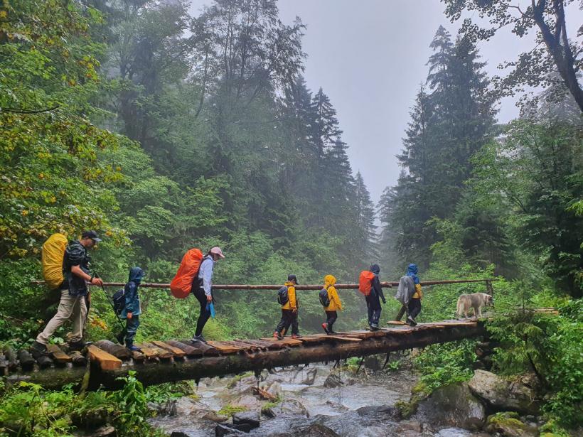 Făgăraș, muntele de fum, muntele de rouă 18798835