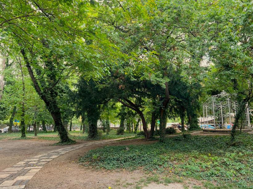 Una dintre cele mai vechi sere din București se redeschide publicului  în cadrul festivalului UNFINISHED 18799376