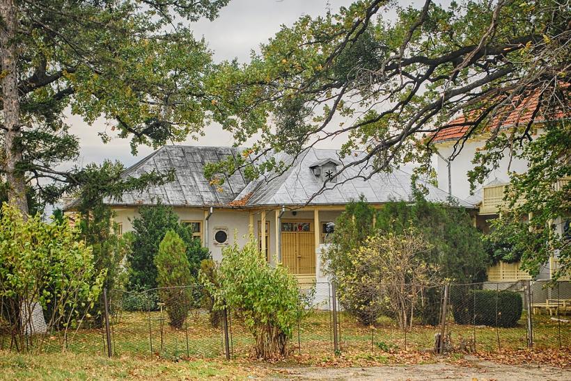 Vlahuță, creatorul primului nostru brand de țară 18799473