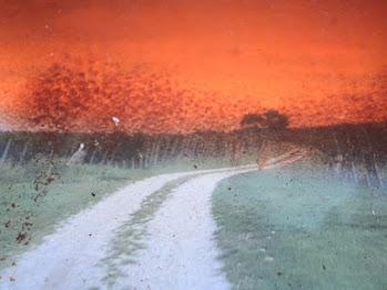 Competiția Națională BIEFF 2022: Noile voci ale cinemaului românesc își revendică locul pe marele ecran 18799575