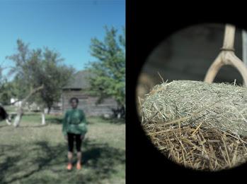 Competiția Națională BIEFF 2022: Noile voci ale cinemaului românesc își revendică locul pe marele ecran 18799581