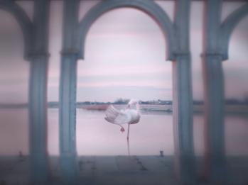 Competiția Națională BIEFF 2022: Noile voci ale cinemaului românesc își revendică locul pe marele ecran 18799582