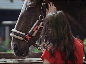 Prima ediție a Competiției Internaționale de Lungmetraj BIEFF, cu filme aplaudate la Cannes, Locarno și Veneția 18800012