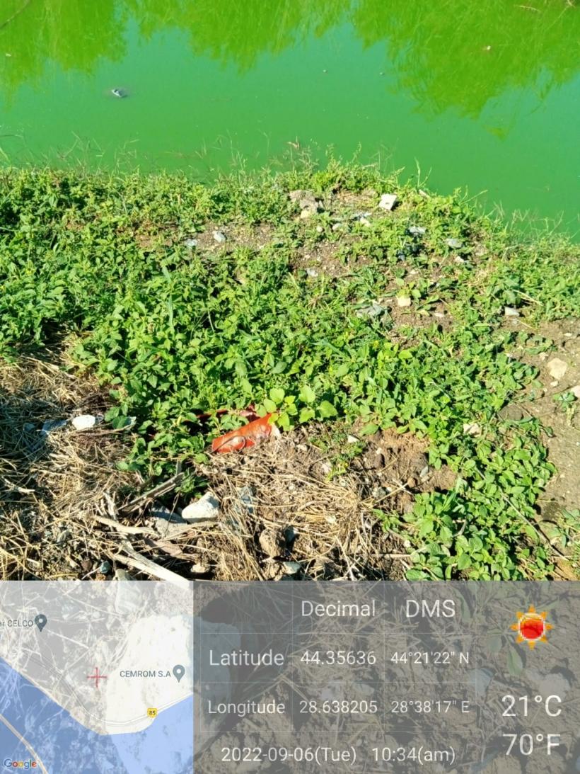 Balta Tuzla, îngropată în gunoaie. Garda de Mediu a făcut o sesizare penală 18800270