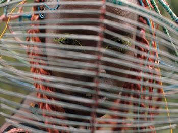 Prima ediție a Competiției Internaționale de Lungmetraj BIEFF, cu filme aplaudate la Cannes, Locarno și Veneția 18800223