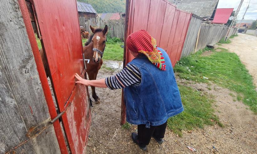 O poveste tulburătoare: Iolanda, poștărița dintre clanuri 18800676